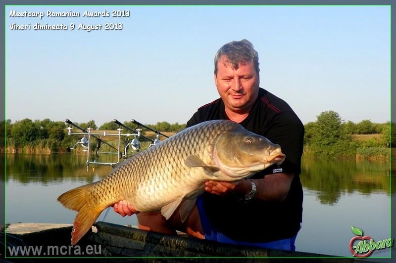 crapi tancabesti - galerie-foto-by-gor965-vineri-dimineata-9-august--mcra-2013-2-5.jpg